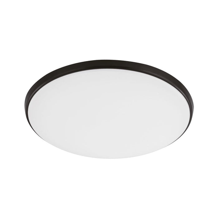 Buy LED Oyster Lights Australia Ollie Oyster Light Black & White 250mm - 203692