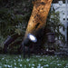 Buy Spike Lights Australia Spot LED Spike Light Black, Clear - 20788303