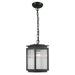 Buy Outdoor Pendant Lights Australia Boulevard Outdoor Pendant Light Chain Antique Black Aluminium - 1000824