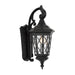 Buy Exterior Wall Lights Australia Brinley 1 Light Wall Light Large IP44 Black & Bubble Glass - BRINLEY EX35-BK