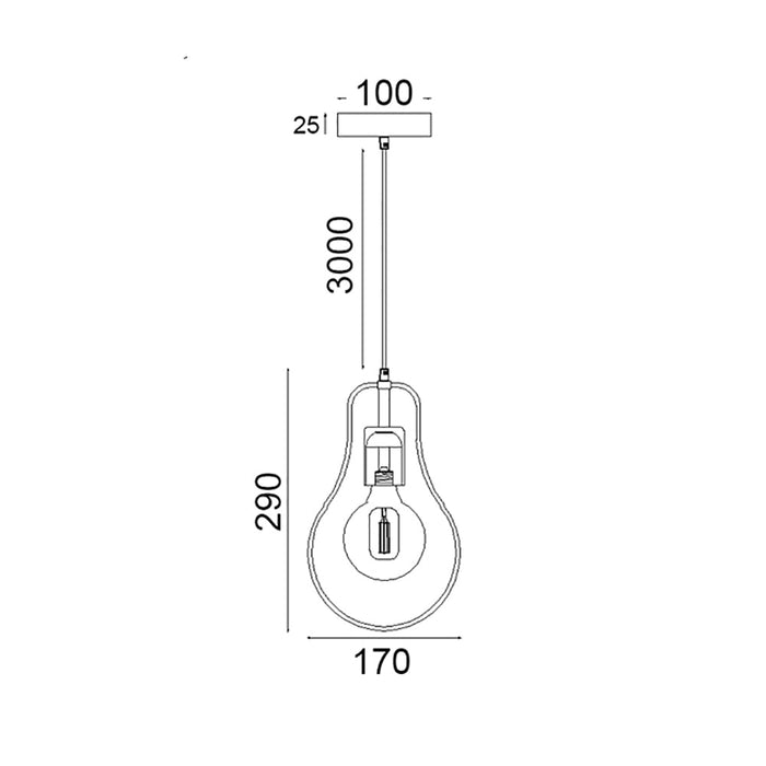 Buy Pendant Lights Australia Contour 1 Light Pendant Black Wire Pear Shape - CONTOUR1