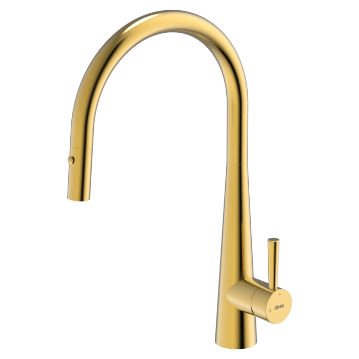 304 Gooseneck Pull Out With Dual Spray Function Kitchen Mixer Eureka Gold - KTA014-G