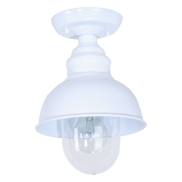 Parkway Small Under Eave Outdoor Close to Ceiling Light White & Clear - 1001708