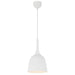 Buy Pendant Lights Australia Polk-20 1 Light Pendant White Brushed, White POLK PE20-WHB