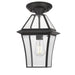 Buy Outdoor Pendant Lights Australia Rye 20 1 Light Pendant Black, Clear RYE PE20-BK