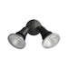 Buy Security Wall Lights Australia SEC Surface Mounted LED PAR30 2 Light Black Security Light IP44 - SEC02