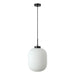 Buy Pendant Lights Australia Flaunt Pendant Light Black Metal Opal Glass - 22739