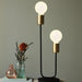 Buy Table Lamps Australia Josefine 2 Light Table Lamp Matt Black & Brass - 48955003