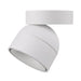 Buy Flush Mount Lights Australia Moon Flush Mount Light Tube White 3CCT - 22819