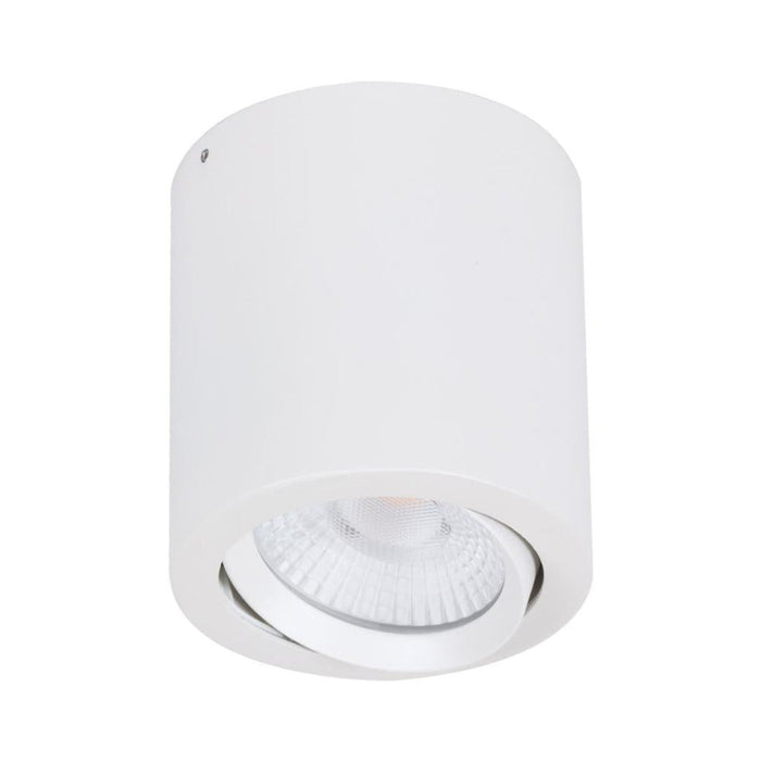 Buy Surface Mounted Downlights Australia Neo Surface Mounted Downlight 20W White Aluminium 3CCT - 21297