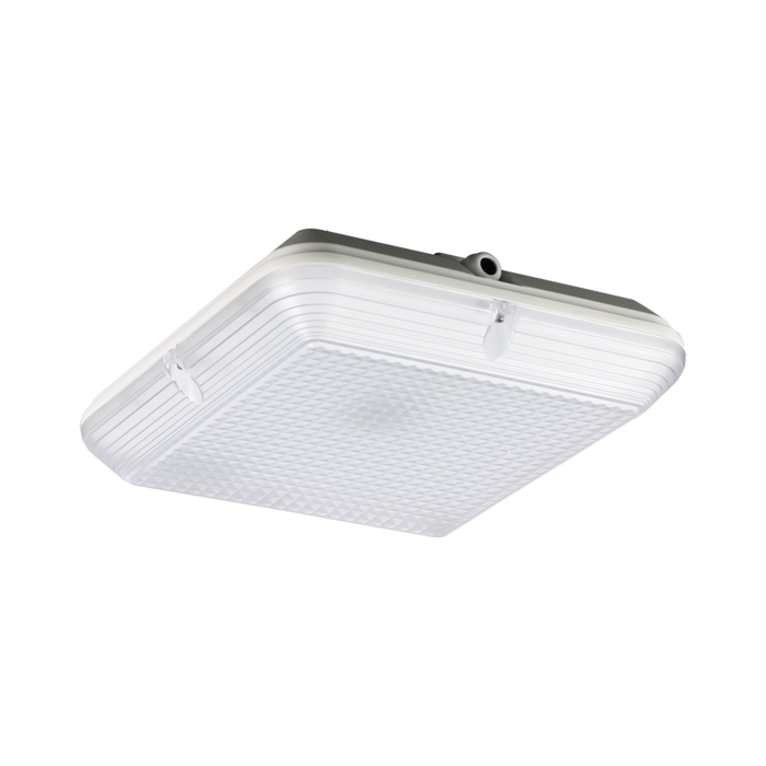 Buy Emergency LED Oyster Lights Australia MEMPHIS Square LED Emergency Oyster Light 22W 4000K IP65 - SL9719SQ/EM