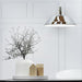 Buy Pendant Lights Australia Divo Angled Dome Shape 1 Light Pendant Chrome - DIVO2